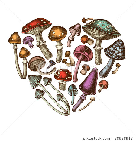 Forest mushrooms heart vintage design. Hand drawn mushrooms, fly agaric, blewit, shimeji, enoki, etc 88988918