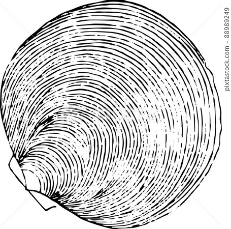 Ylistrum 1 Ylistrum 1 88989249