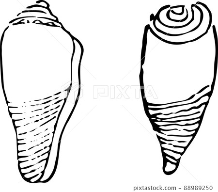 Shellfish Shellfish 88989250