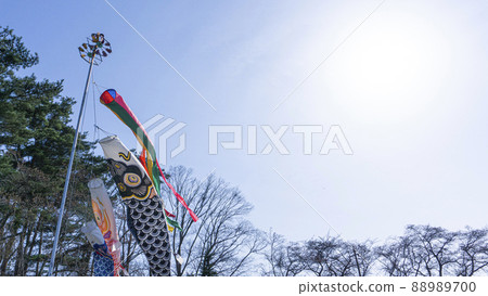 鯉魚旗在天上翩翩起舞_12 鯉魚旗在天上翩翩起舞_12 88989700