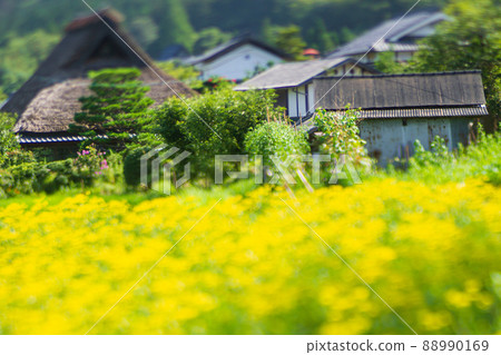 京都右京區越畑少女的照片 88990169