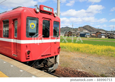 600 series Yoro Railway vehicle and rape blossoms that stop at Ibi Station 600 series Yoro Railway vehicle and rape blossoms that stop at Ibi Station 88990753