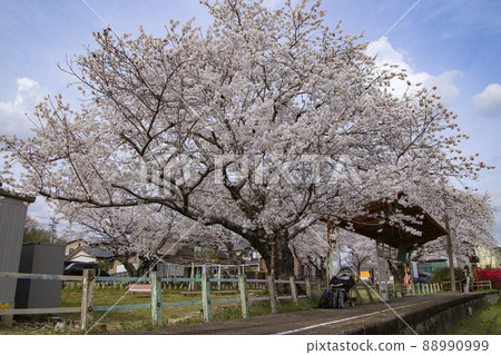 三河三船站舊址親合公園 88990999