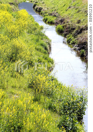 Spring stream early April 88991210