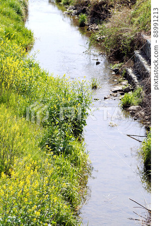 四月初春流 88991213