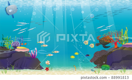In the beautiful sea, sea creatures 88991813