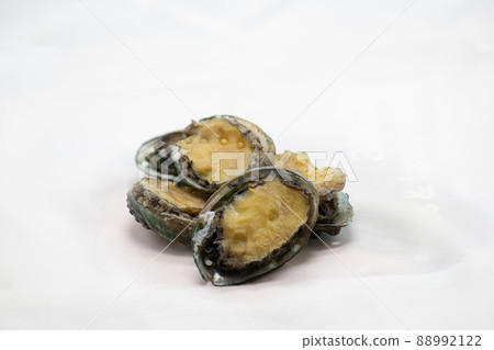 abalone abalone 88992122