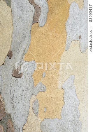 London plane 88993457