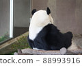 The back of the panda 88993916
