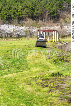 Scenery of Shichigashuku Park Mowing work in the plaza Shichikashuku Town, Miyagi Prefecture 88995426