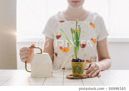 lovely housewife woman in apron with flower in pot. Gardening, holidays, Spring and Easter concept. 88996165
