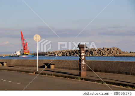 在鹿兒島縣屋久島安房川沿岸的女武通港可以看到鶴。 在鹿兒島縣屋久島安房川沿岸的女武通港可以看到鶴。 88996175