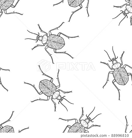 Seamless pattern of monochrome ground beetles illustration. Vector illustration template 88996810