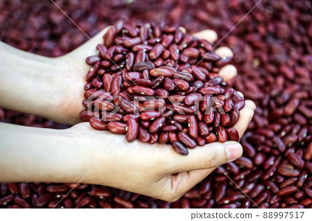 Close up woman hand holding Red Beans Background Close up woman hand holding Red Beans Background 88997517