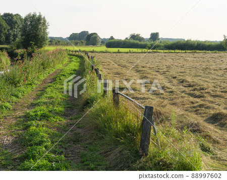 The river Aa in the german Westphalia The river Aa in the german Westphalia 88997602