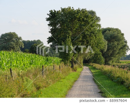 The river Aa in the german Westphalia The river Aa in the german Westphalia 88997604