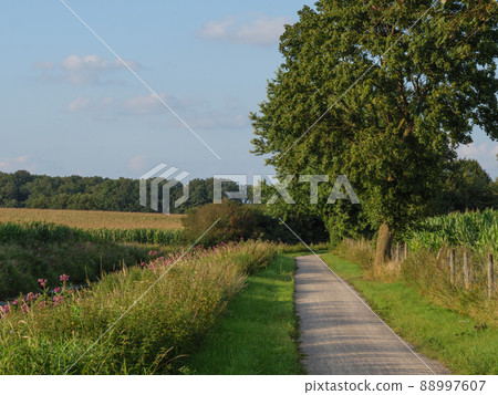 The river Aa in the german Westphalia The river Aa in the german Westphalia 88997607