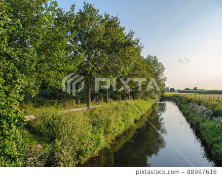 The river Aa in the german Westphalia The river Aa in the german Westphalia 88997616