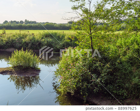 The river Aa in the german Westphalia 88997625