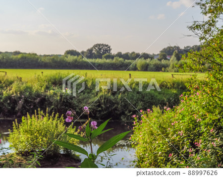 The river Aa in the german Westphalia The river Aa in the german Westphalia 88997626