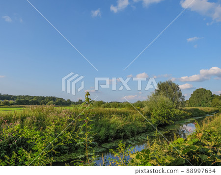 The river Aa in the german Westphalia 88997634