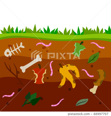 Compost soil. Layer of earth in section with worms. Farming and food waste. Ecological humus. 88997707