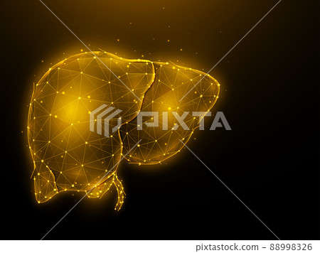 Abstract polygonal vector illustration of a human liver on a dark background. Digestive gland, internal low poly design. Medical banner, template or background. 88998326