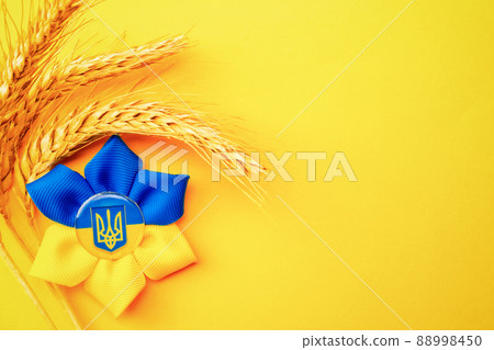 Yellow blue background. Ukrainian flower trident symbol with wheat grain ear isolated on yellow banner. Support Ukraine concept. Yellow blue background. Ukrainian flower trident symbol with wheat grain ear isolated on yellow banner. Support Ukraine concept. 88998450