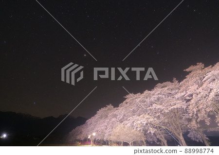 北斗市武川町、馬原一排櫻花樹和南阿爾卑斯山山脈上的春三角 北斗市武川町、馬原一排櫻花樹和南阿爾卑斯山山脈上的春三角 88998774