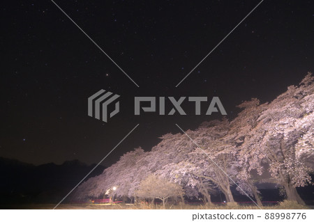 北斗市武川町、馬原一排櫻花樹和南阿爾卑斯山山脈上的春三角 北斗市武川町、馬原一排櫻花樹和南阿爾卑斯山山脈上的春三角 88998776