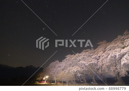 Mukawa-cho, Hokuto City, Spring Triangle on a row of cherry blossom trees in Mahara and mountains in the Southern Alps 88998779