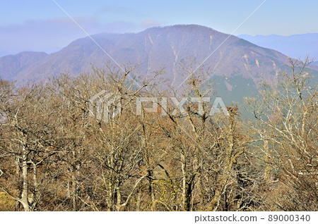 從丹澤的大室看大室山 89000340