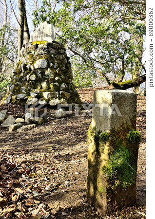 The summit of Tanzawa: The triangular point of the summit of Azegamaru in Nishi Tanzawa The summit of Tanzawa: The triangular point of the summit of Azegamaru in Nishi Tanzawa 89000362