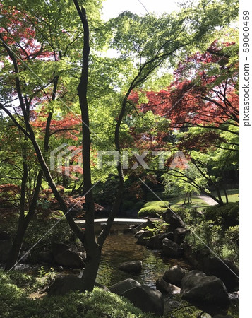 Fresh green Otaguro Park Fresh green Otaguro Park 89000469