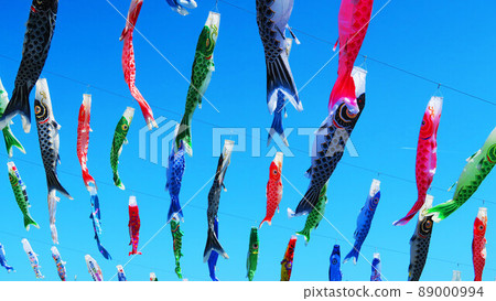 第21屆川口芝川鯉魚旗祭2022（2022年4月拍攝） 89000994