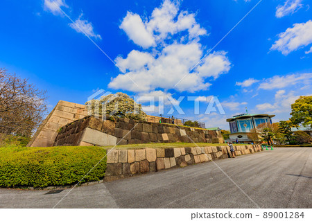 Edo Castle Ruins in the Imperial Palace, Chiyoda-ku, Tokyo 89001284