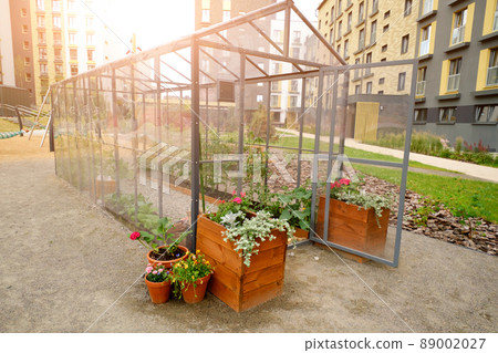 A small modern greenhouse stands in the courtyard between the multi-storey buildings of a large city. Urban Glass Hothouse for growing homemade organic vegetables, berries and verdure 89002027