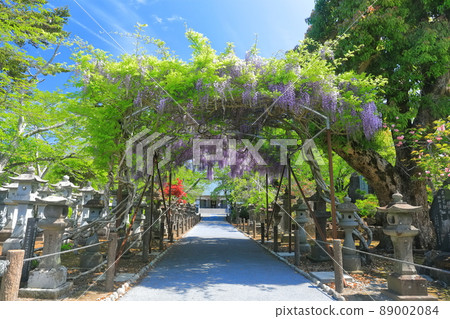 [鹿兒島縣]綠意盎然的知嵐平和公園 89002084