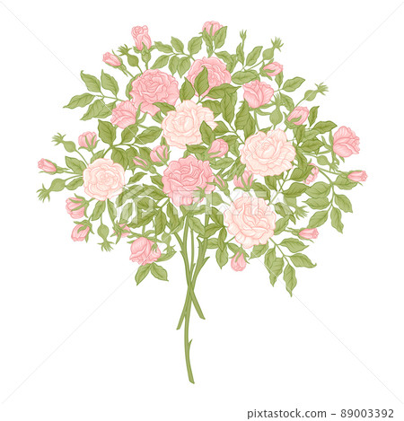 Roses flowers on branches. Millefleurs trendy floral design Roses flowers on branches. Millefleurs trendy floral design 89003392