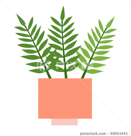 plants for a terrarium Mini Terrarium Plants (6 Plants) (2" Pots) Assorted Varieties  Optiflora