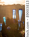 blue glass bottles as garden decoration at sunset 89003813