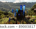 blue glass bottles as garden decoration at sunset 89003817
