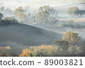 a foggy autumn morning in Marche Italy 89003821