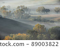 a foggy autumn morning in Marche Italy 89003822