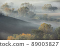 a foggy autumn morning in Marche Italy 89003827