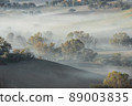a foggy autumn morning in Marche Italy 89003835