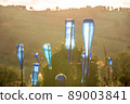 blue glass bottles as garden decoration at sunset 89003841