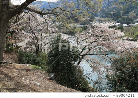 春天吉野川中央的“箕田之淵”(德島縣東三吉町) 春天吉野川中央的“箕田之淵”(德島縣東三吉町) 89004211