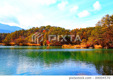 五色沼池的紅葉 89004570