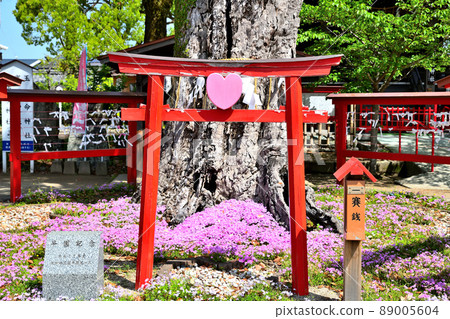 築後市小木神社 89005604